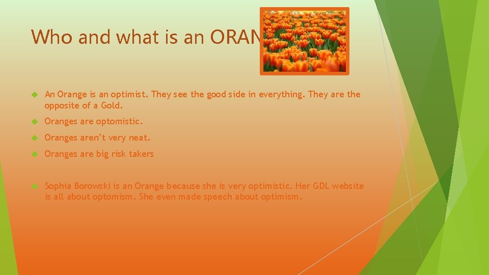 Who and what is an ORANGE? An Orange is an optimist. They see the