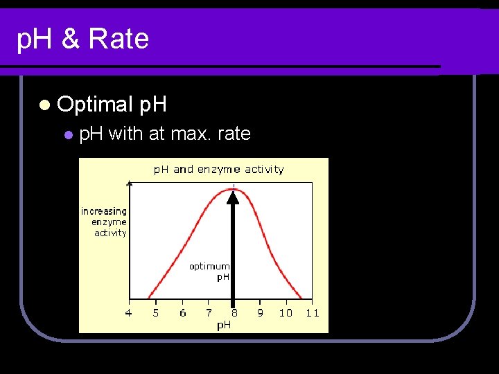 p. H & Rate l Optimal l p. H with at max. rate 