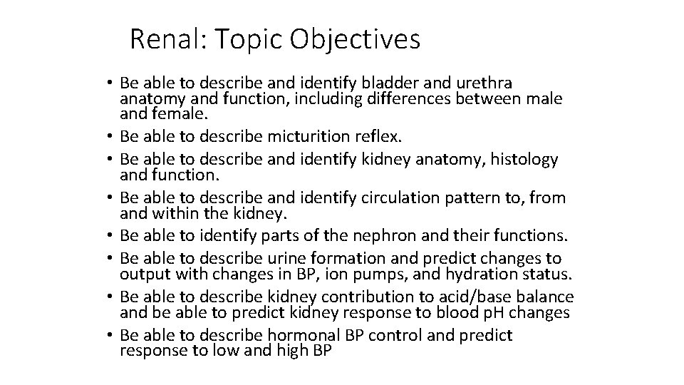 Renal: Topic Objectives • Be able to describe and identify bladder and urethra anatomy