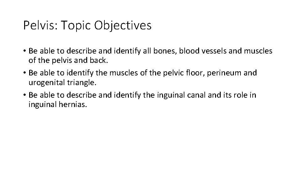 Pelvis: Topic Objectives • Be able to describe and identify all bones, blood vessels