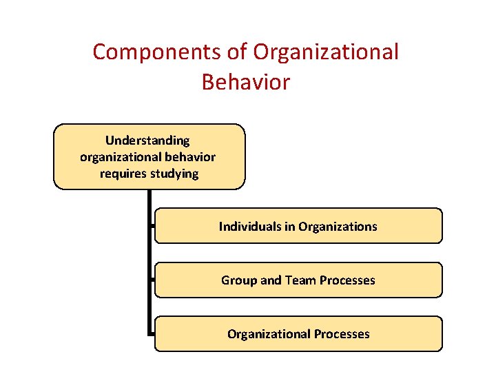 Components of Organizational Behavior Understanding organizational behavior requires studying Individuals in Organizations Group and