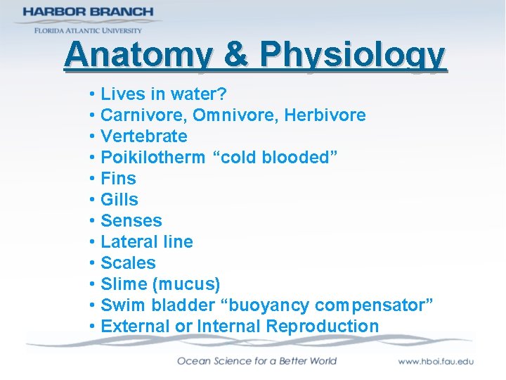 Anatomy & Physiology • Lives in water? • Carnivore, Omnivore, Herbivore • Vertebrate •