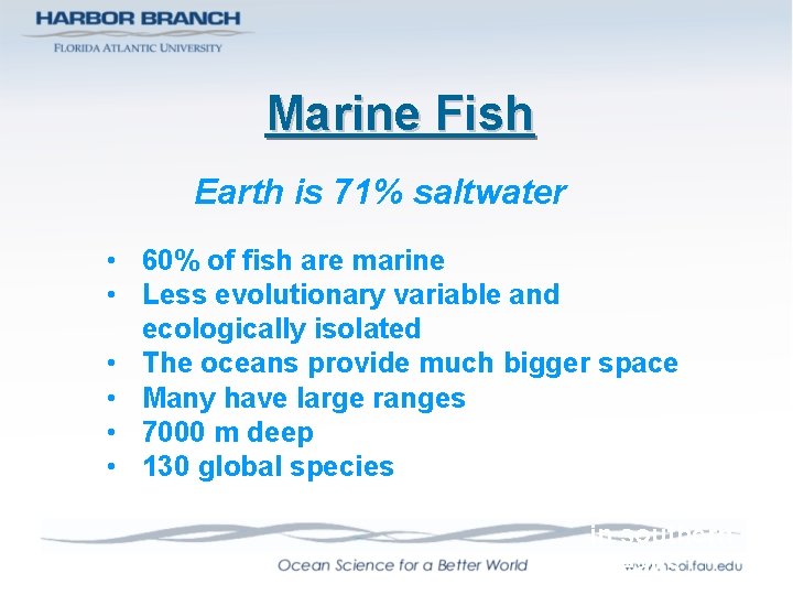 Marine Fish Earth is 71% saltwater • 60% of fish are marine • Less