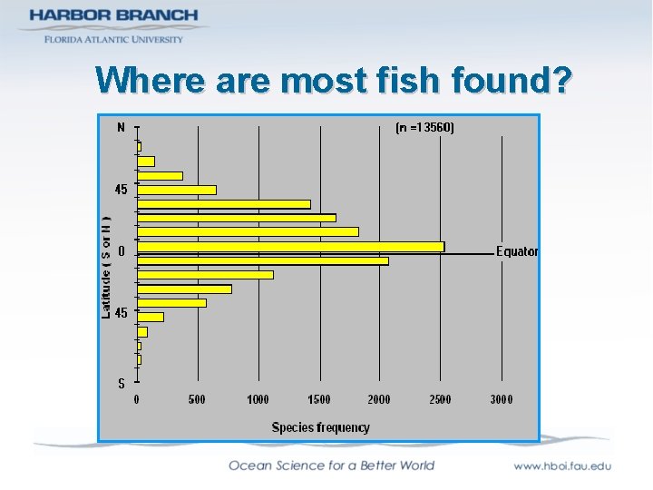 Where are most fish found? 
