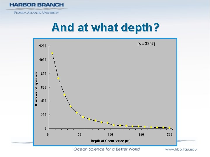 And at what depth? 