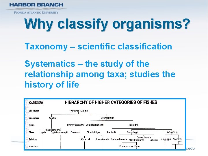 Why classify organisms? Taxonomy – scientific classification Systematics – the study of the relationship