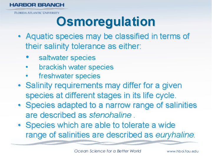Osmoregulation • Aquatic species may be classified in terms of their salinity tolerance as