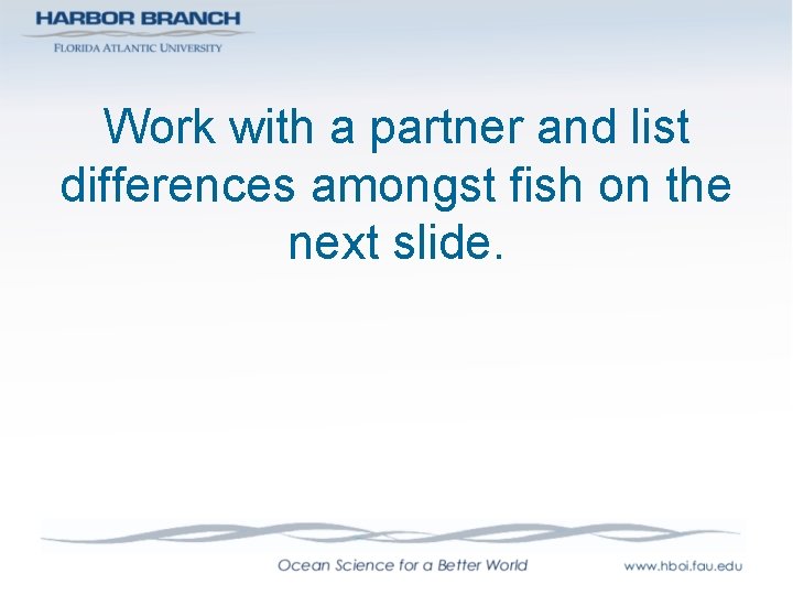 Work with a partner and list differences amongst fish on the next slide. 