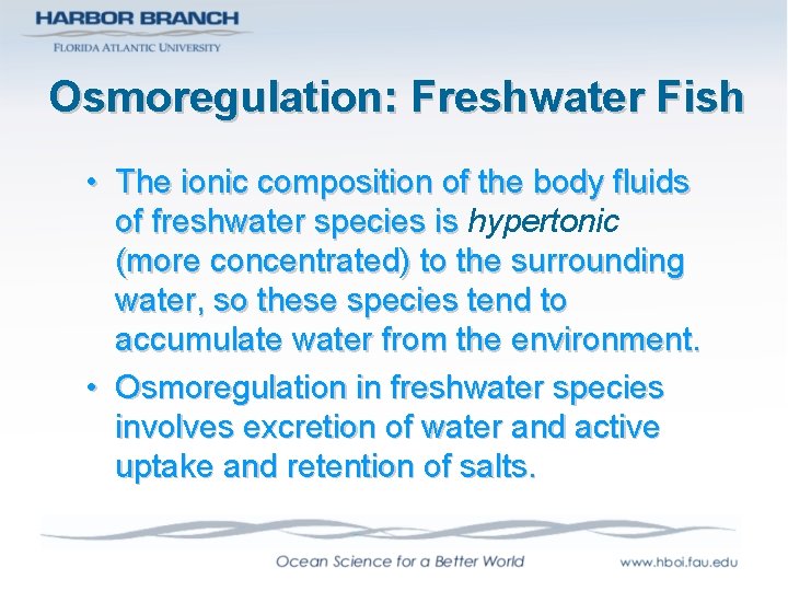 Osmoregulation: Freshwater Fish • The ionic composition of the body fluids of freshwater species
