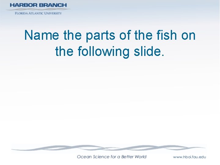 Name the parts of the fish on the following slide. 