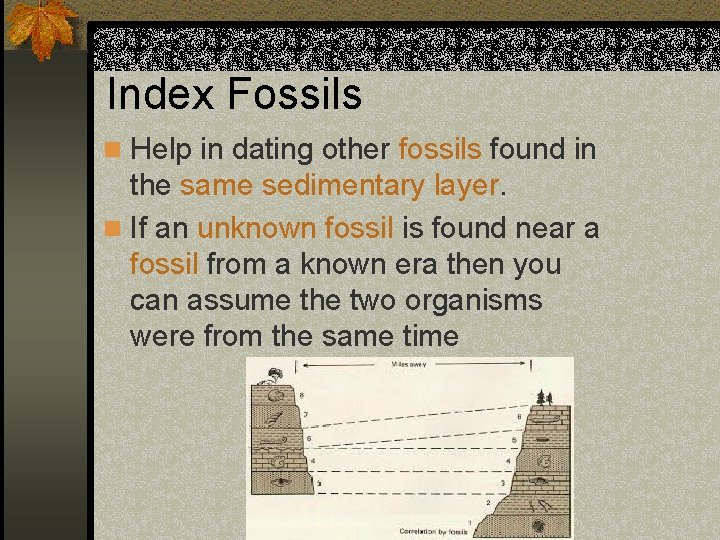 Index Fossils n Help in dating other fossils found in the same sedimentary layer.