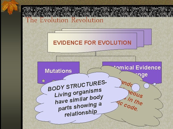 The Evolution Revolution EVIDENCE FOR EVOLUTION Anatomical Evidence Mutations for Change Ran S RE