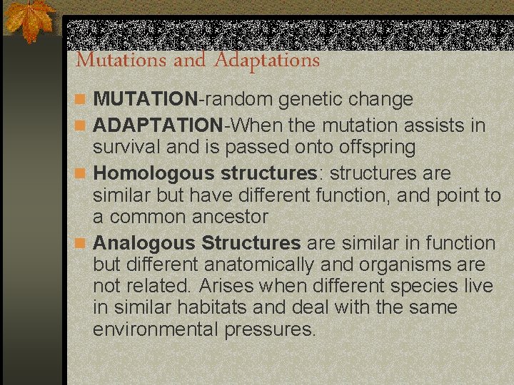 Mutations and Adaptations n MUTATION-random genetic change n ADAPTATION-When the mutation assists in survival