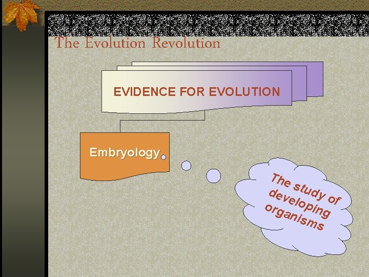 The Evolution Revolution EVIDENCE FOR EVOLUTION Embryology The s d e v tu d