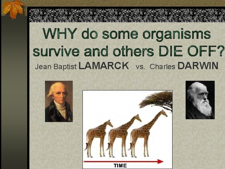 Jean Baptist LAMARCK vs. Charles DARWIN 