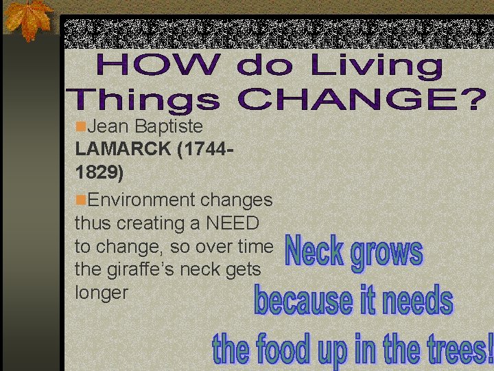 n. Jean Baptiste LAMARCK (17441829) n. Environment changes thus creating a NEED to change,