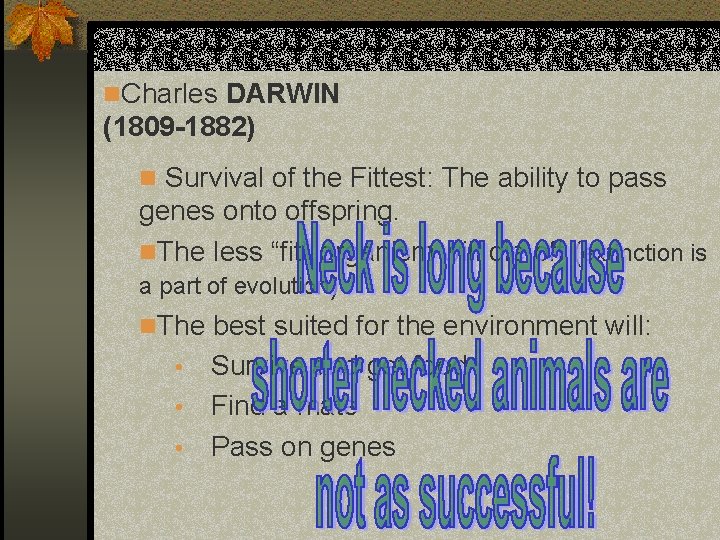 n. Charles DARWIN (1809 -1882) n Survival of the Fittest: The ability to pass