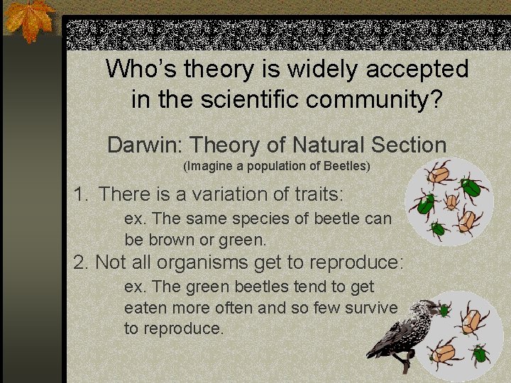 Who’s theory is widely accepted in the scientific community? Darwin: Theory of Natural Section