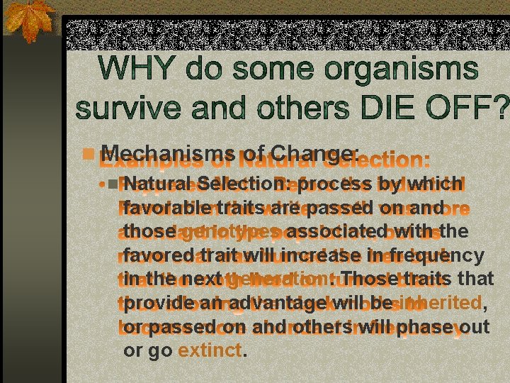 n Mechanisms of Change: n Natural Selection: process by which favorable traits are passed