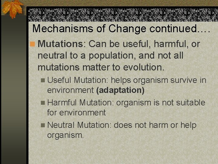 Mechanisms of Change continued…. n Mutations: Can be useful, harmful, or neutral to a