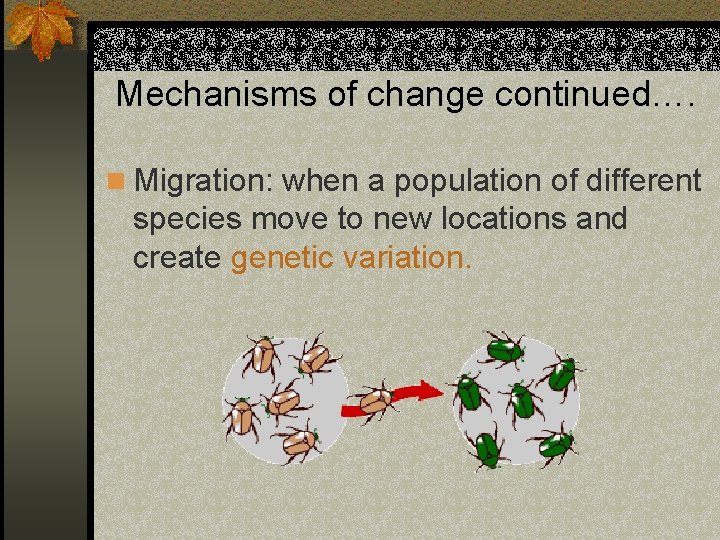 Mechanisms of change continued…. n Migration: when a population of different species move to