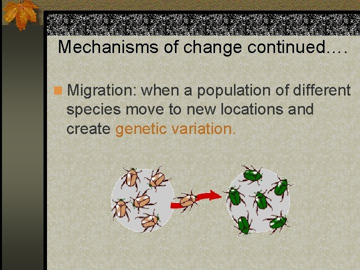 Mechanisms of change continued…. n Migration: when a population of different species move to