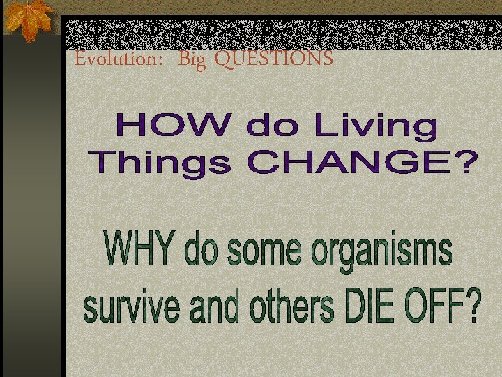Evolution: Big QUESTIONS 