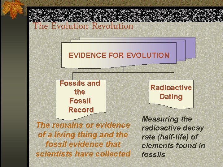 The Evolution Revolution EVIDENCE FOR EVOLUTION Fossils and the Fossil Record The remains or