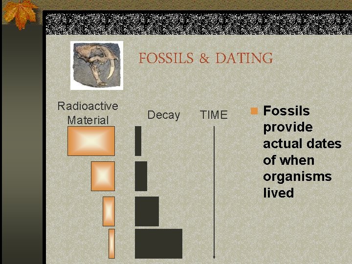 FOSSILS & DATING Radioactive Material Decay TIME n Fossils provide actual dates of when