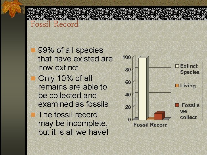 Fossil Record n 99% of all species that have existed are now extinct n