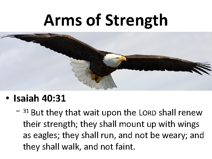 Arms of Strength • Isaiah 40: 31 – 31 But they that wait upon