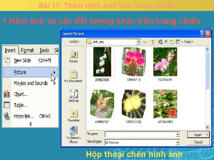 Bài 11: Thêm Hình Ảnh Vào Trang Chiếu 1. Hình ảnh và các đối
