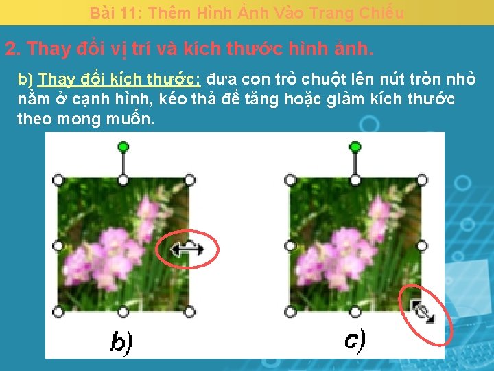 Bài 11: Thêm Hình Ảnh Vào Trang Chiếu 2. Thay đổi vị trí và