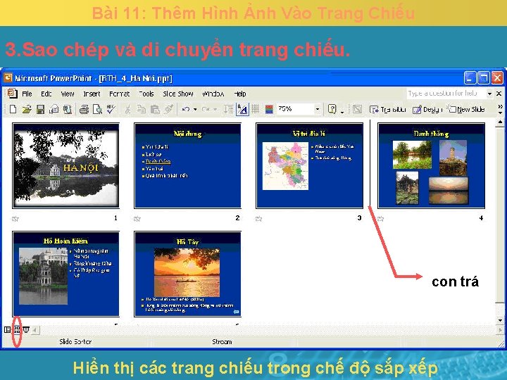 Bài 11: Thêm Hình Ảnh Vào Trang Chiếu 3. Sao chép và di chuyển