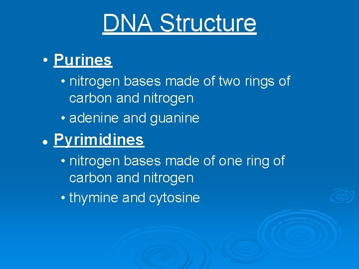 DNA Structure • Purines • nitrogen bases made of two rings of carbon and
