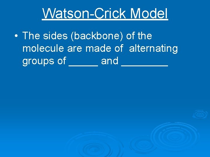 Watson-Crick Model • The sides (backbone) of the molecule are made of alternating groups