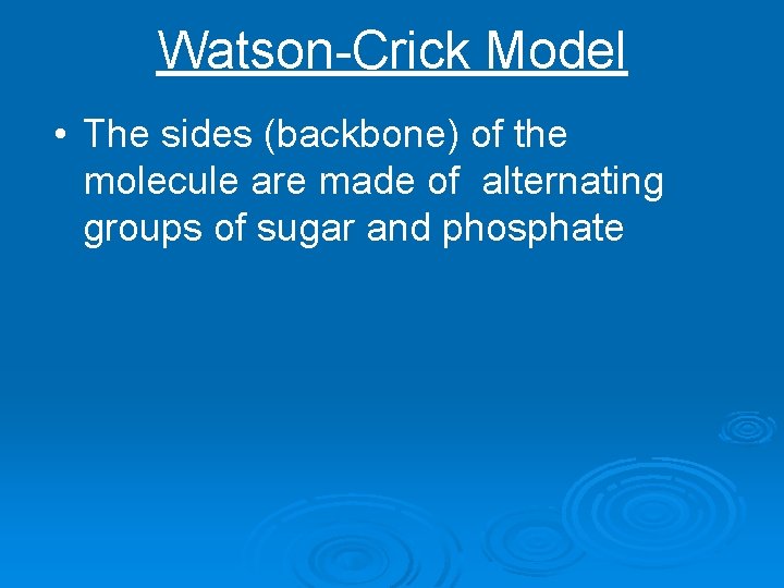 Watson-Crick Model • The sides (backbone) of the molecule are made of alternating groups