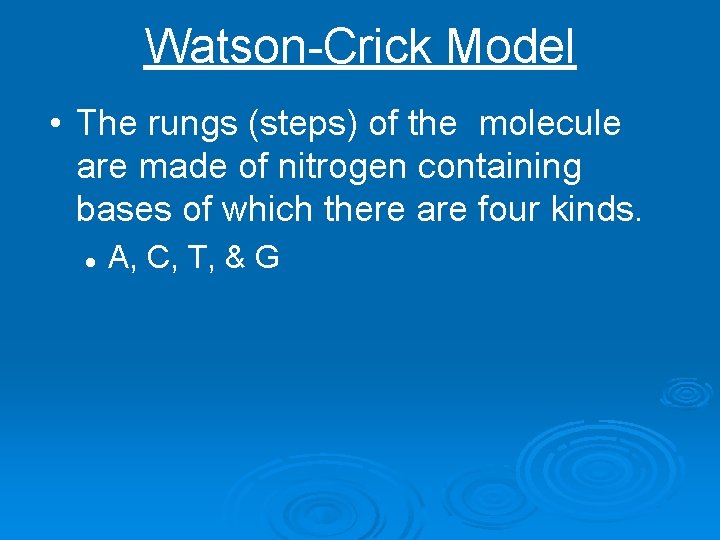 Watson-Crick Model • The rungs (steps) of the molecule are made of nitrogen containing