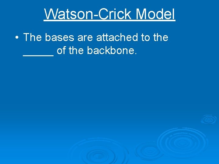 Watson-Crick Model • The bases are attached to the _____ of the backbone. 