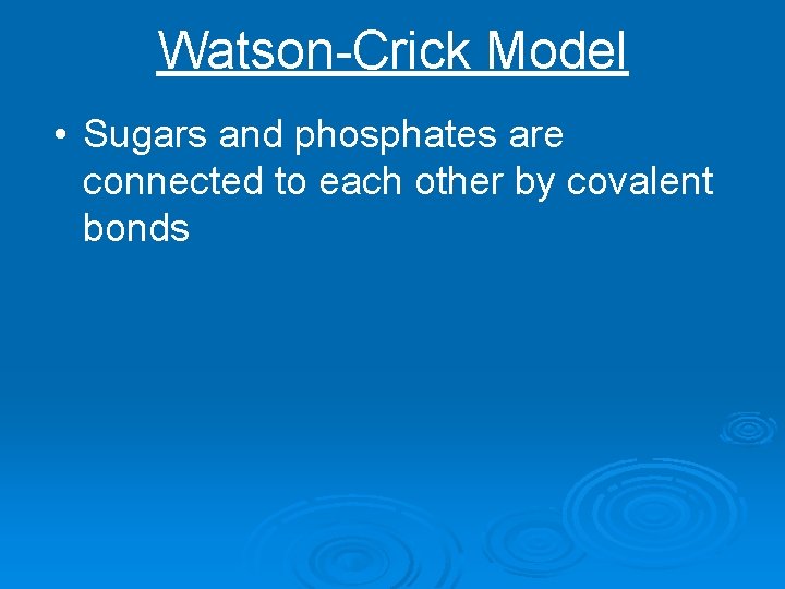 Watson-Crick Model • Sugars and phosphates are connected to each other by covalent bonds