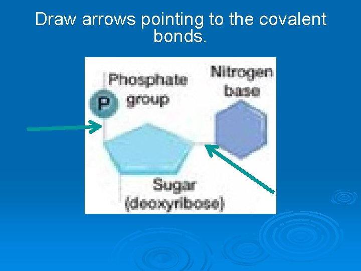 Draw arrows pointing to the covalent bonds. 