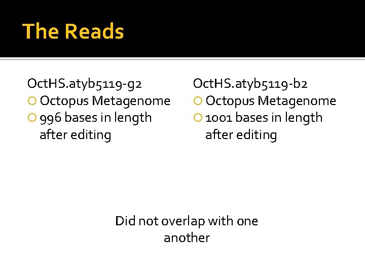 The Reads Oct. HS. atyb 5119 -g 2 Octopus Metagenome 996 bases in length