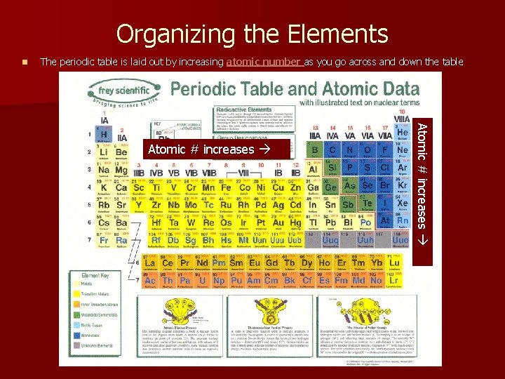 Organizing the Elements n The periodic table is laid out by increasing atomic number