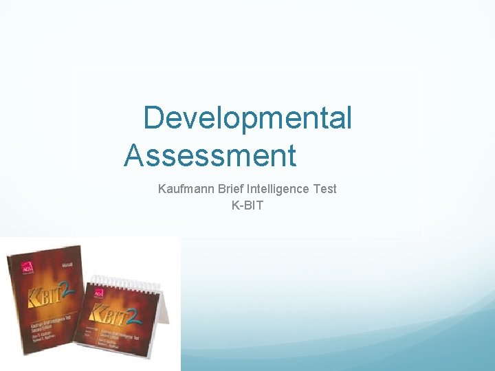 Developmental Assessment Kaufmann Brief Intelligence Test K BIT 