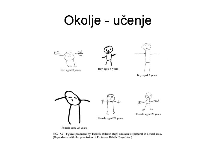 Okolje - učenje 