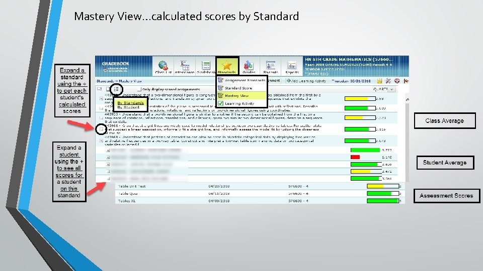 Mastery View…calculated scores by Standard 