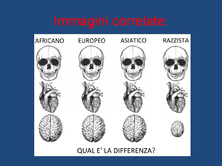 Immagini correlate: 