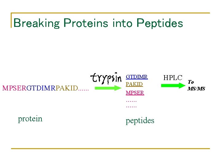 Breaking Proteins into Peptides MPSERGTDIMRPAKID. . . protein GTDIMR PAKID MPSER …… …… peptides