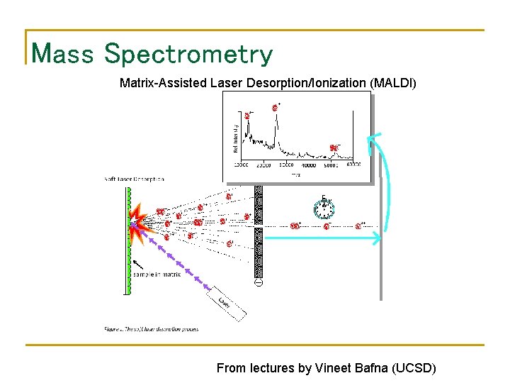 Mass Spectrometry Matrix-Assisted Laser Desorption/Ionization (MALDI) From lectures by Vineet Bafna (UCSD) 