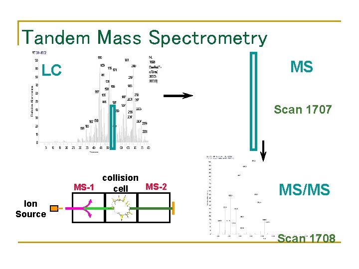 Tandem Mass Spectrometry MS LC Scan 1707 collision MS-2 MS-1 cell MS/MS Ion Source